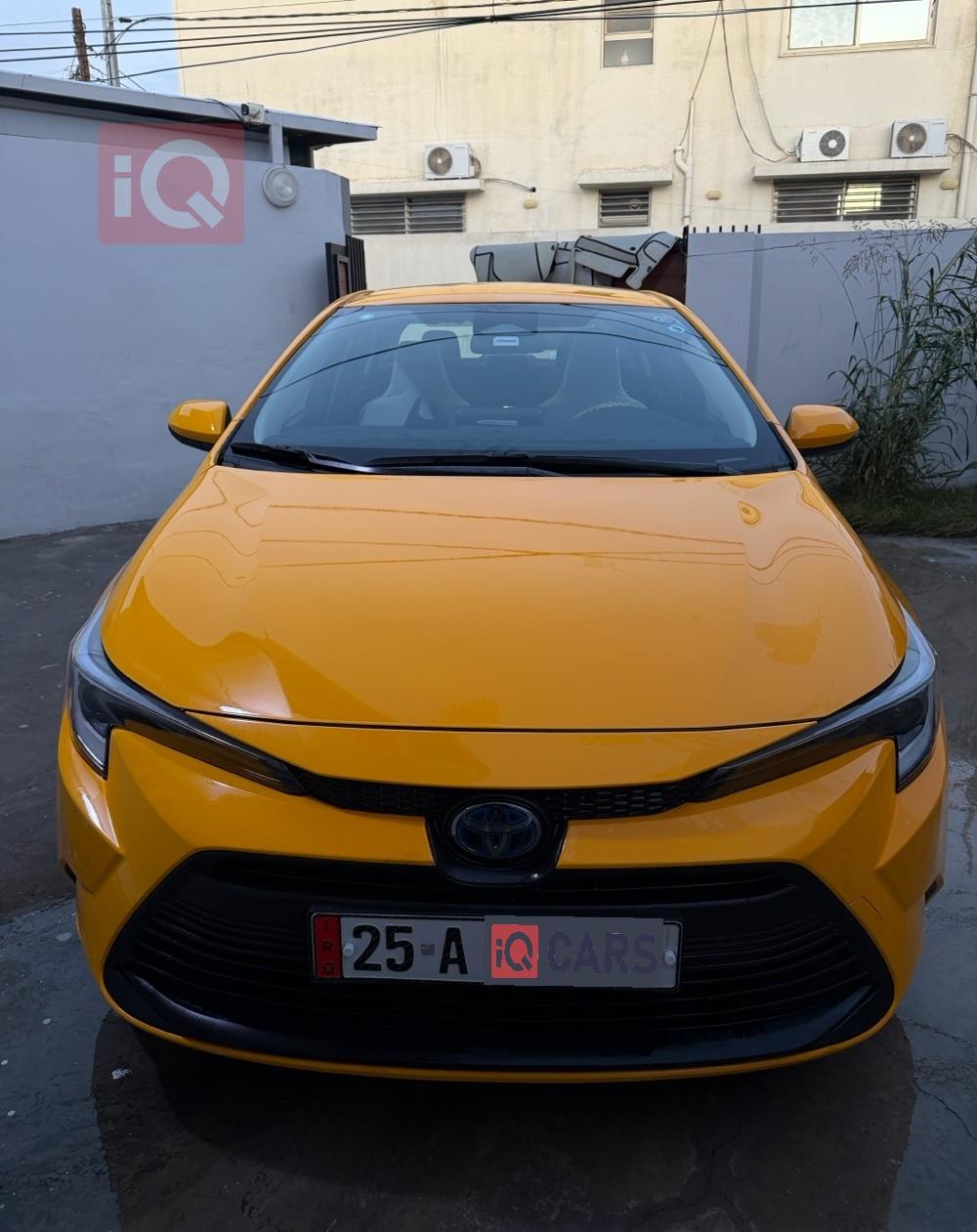 تويوتا كورولا